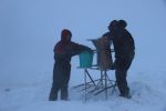 FIELD WORK